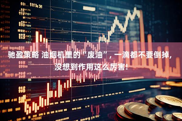 驰盈策略 油烟机里的“废油”, 一滴都不要倒掉, 没想到作用这么厉害!