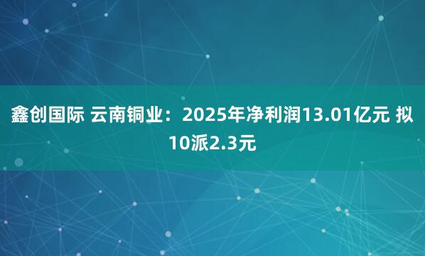 鑫创国际 云南铜业：2025年净利润13.01亿元 拟10派2.3元