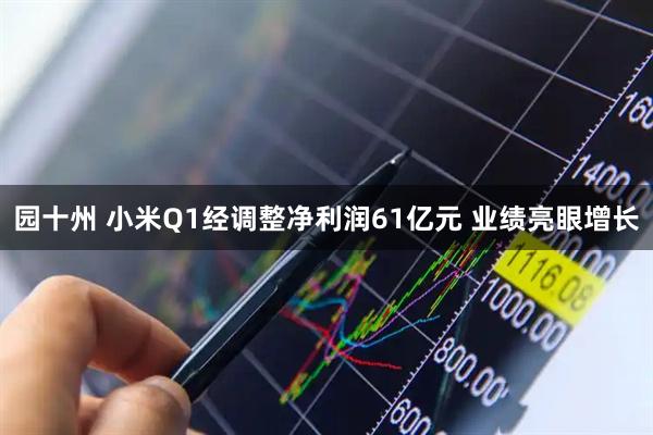 园十州 小米Q1经调整净利润61亿元 业绩亮眼增长