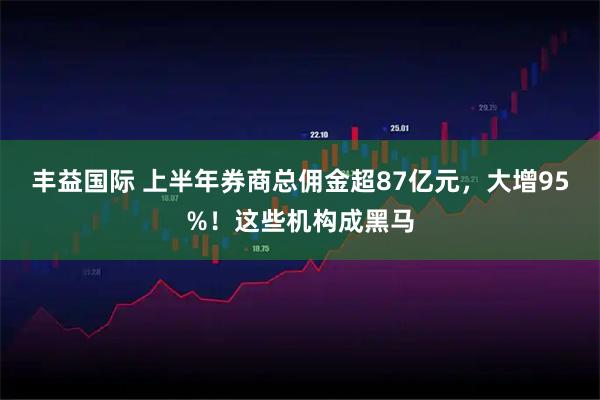 丰益国际 上半年券商总佣金超87亿元，大增95%！这些机构成黑马